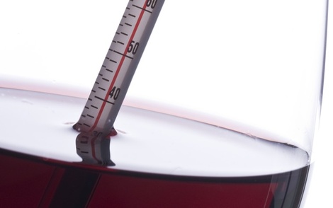 Afinal, qual a temperatura ideal para apreciar um bom vinho?
