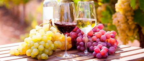 Quais os tipos de uvas mais utilizados para a produção de vinho?